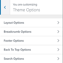 BizPlus: Theme Option