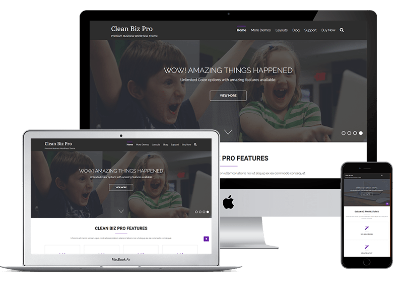 Premium WordPress Themes: Clean Biz Pro