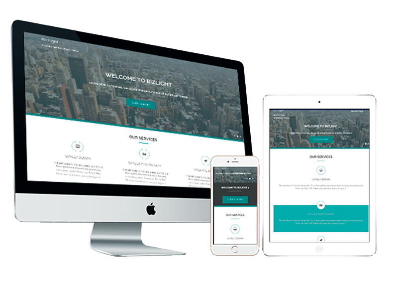 Premium WordPress Themes: Biz Light Pro