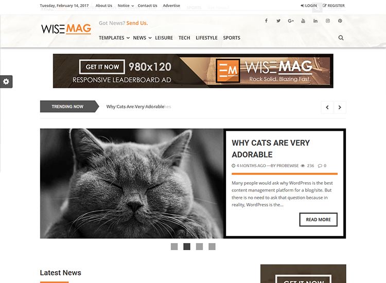 best premium blogging theme: Wise Mag