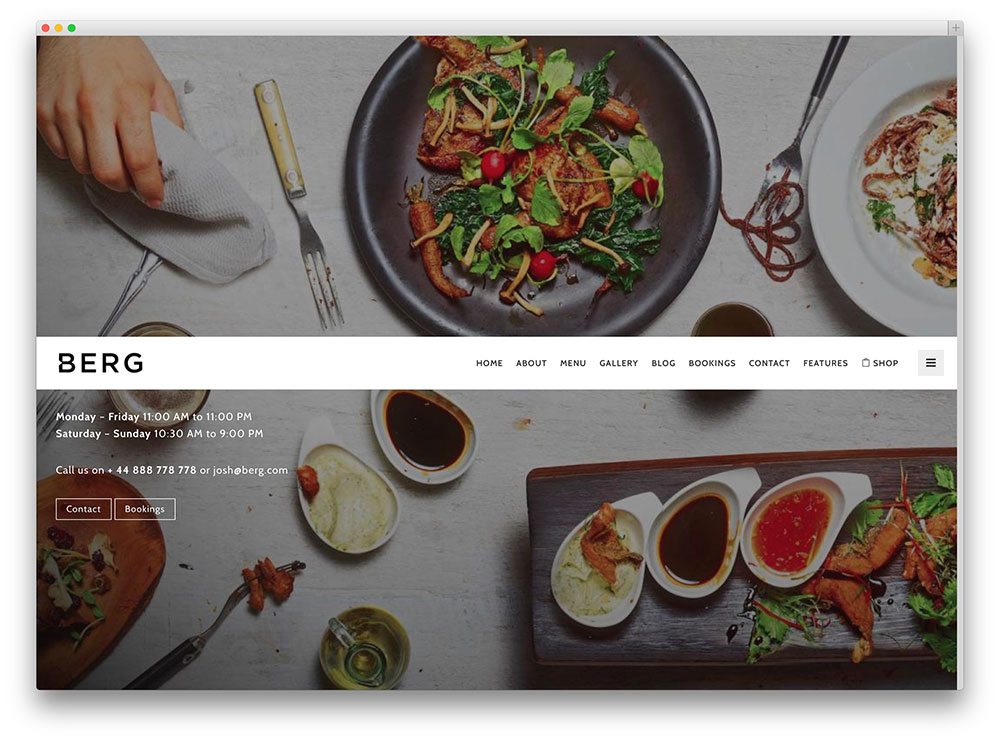 best premium wordpress restaurant themes: Berg