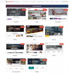 free WordPress themes by eVision Themes