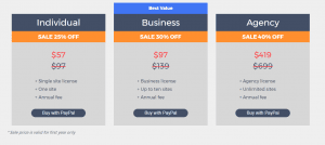 All in One SEO Pack Price Range