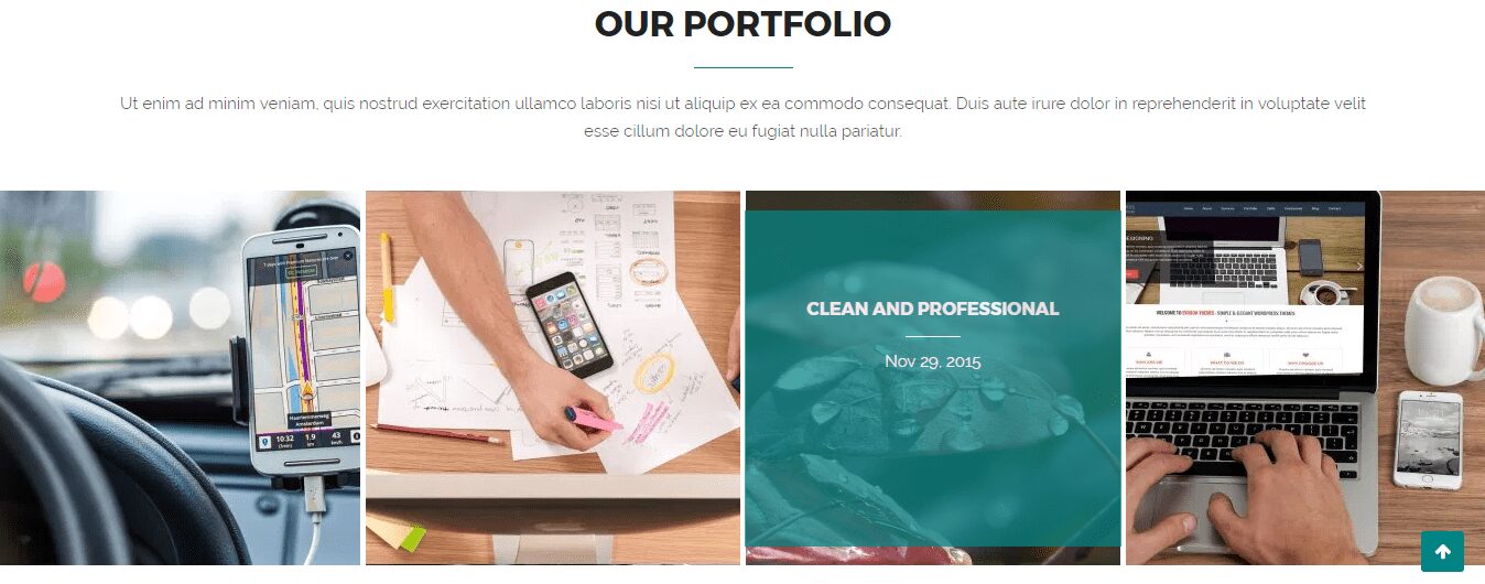 portfolio section