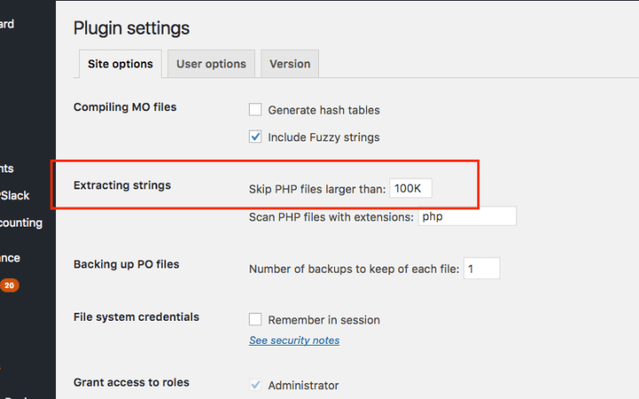 Loco Translate Settings Overview