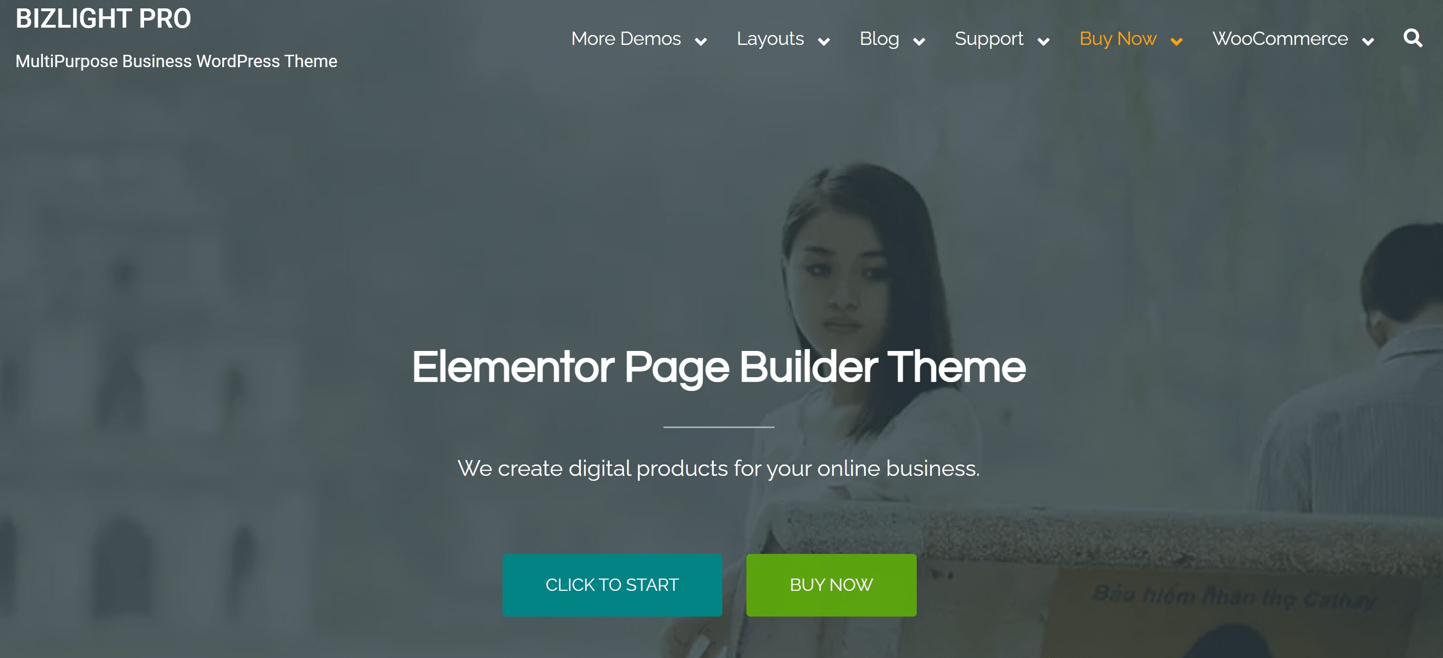 bizlight pro evisionthemes